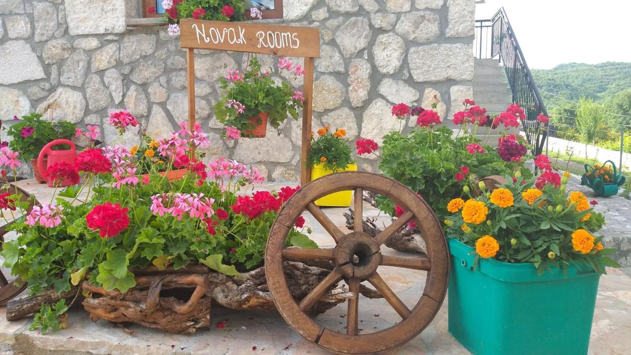 Village House - Novak Rijecani Rijeka Crnojevića Dış mekan fotoğraf