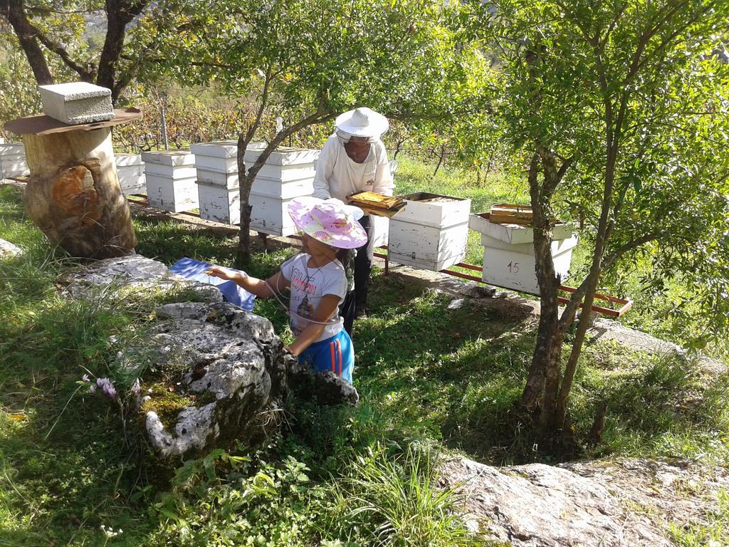 Village House - Novak Rijecani Rijeka Crnojevića Dış mekan fotoğraf