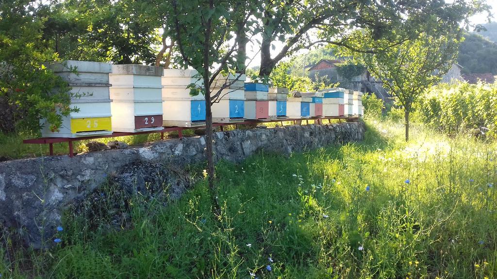 Village House - Novak Rijecani Rijeka Crnojevića Dış mekan fotoğraf